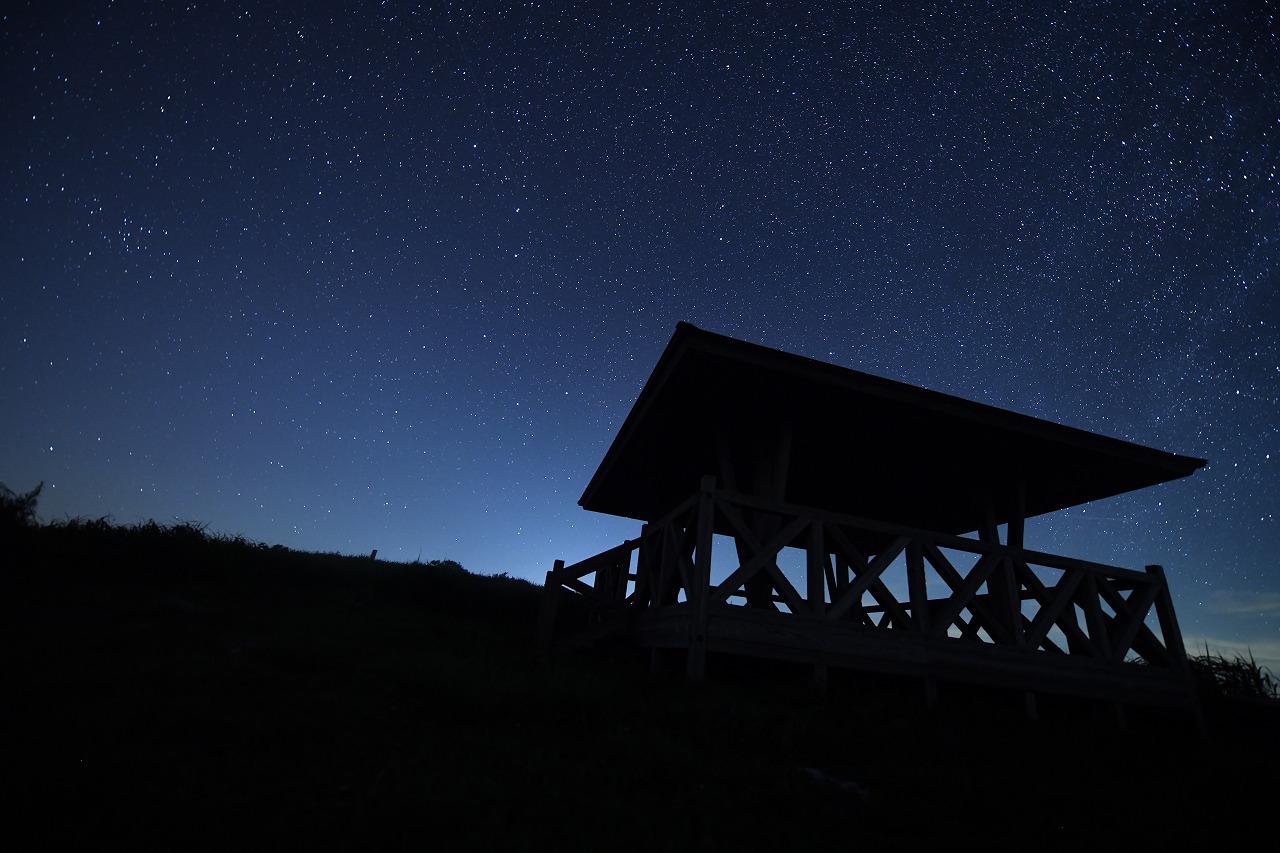 トピックス・イベント情報